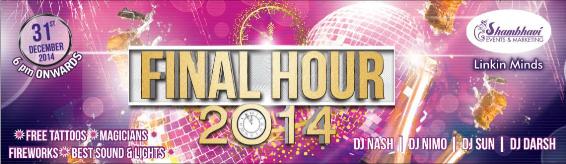 Final Hour 2014 New Year Party at Daulat Lawns in Pune on 31st December 2014.jpg