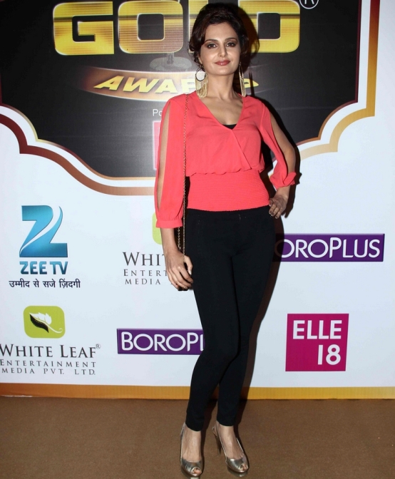 Monica Bedi attends at Zee Gold Awards 2014