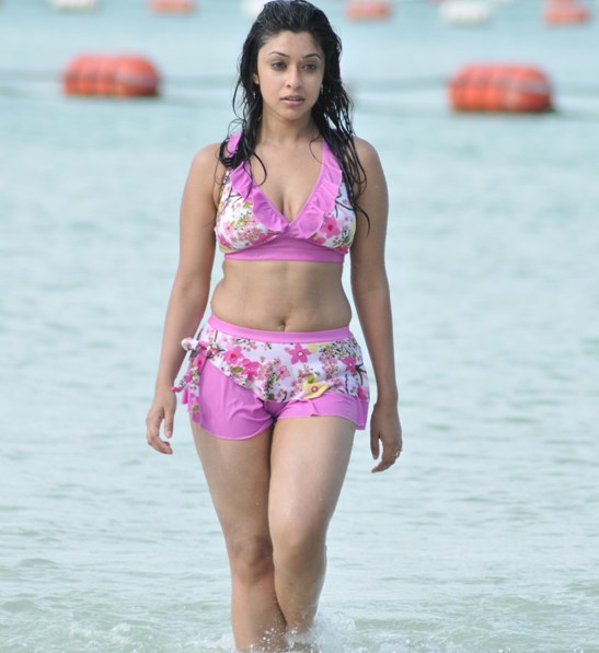 Payal Ghosh Bikini Pics Hot Photos – Sexy Legs Milky Navel and Deep Cleavage Images