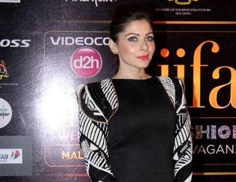Kanika Kapoor in Black Full Sleeve Short Dress at IIFA 2015