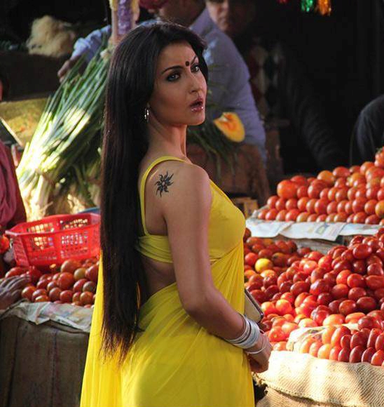 Elli Avram in Yellow Saree Hot Navel Show Photos