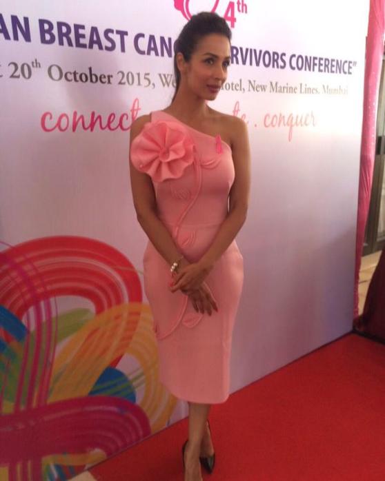 Malaika Arora Khan in Pink One Piece at Breast Cancer Awareness Event