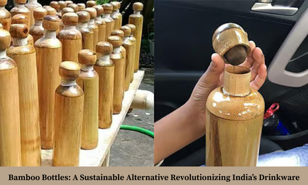 Bamboo Bottles: A Sustainable Alternative Revolutionizing India’s Drinkware