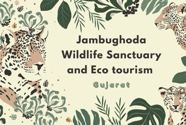 Jambughoda Wildlife Sanctuary and Eco Tourism – Hidden Natural Gem of Gujarat India
