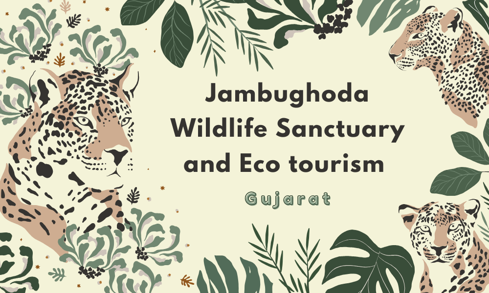 Jambughoda Wildlife Sanctuary and Eco Tourism – Hidden Natural Gem of Gujarat India