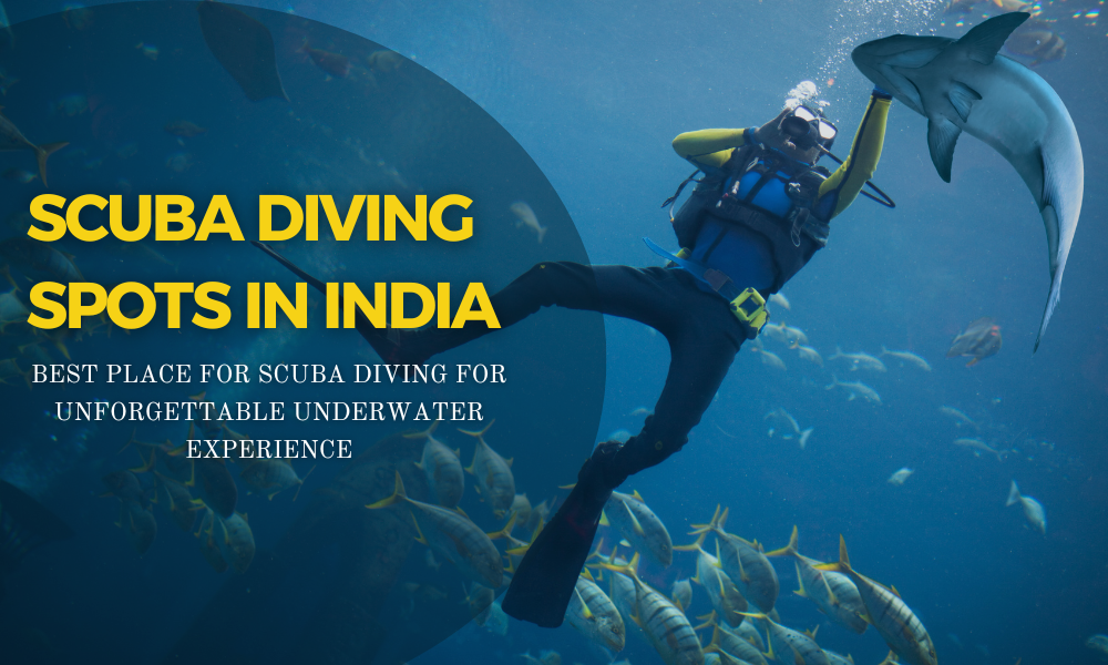 Scuba Diving Spots in India - Best Place for Scuba Diving for Unforgettable Underwater Experience