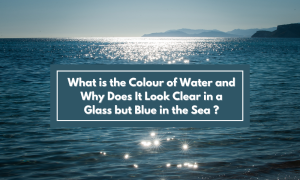 What is the Colour of Water and Why Does It Look Clear in a Glass but Blue in the Sea