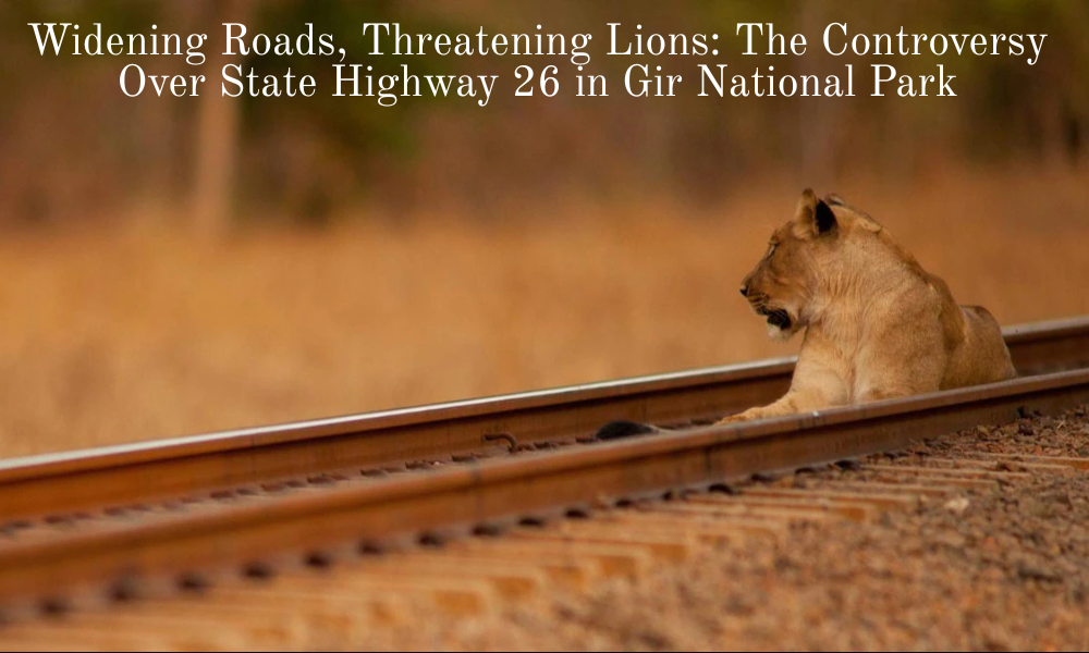 Widening Roads, Threatening Lions The Controversy Over State Highway 26 in Gir National Park